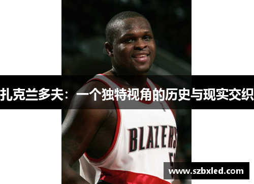 扎克兰多夫：一个独特视角的历史与现实交织