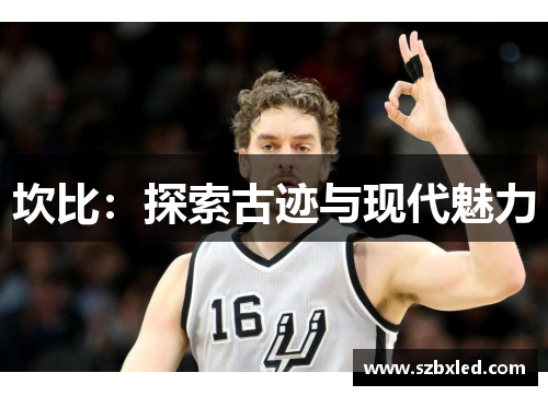 坎比：探索古迹与现代魅力